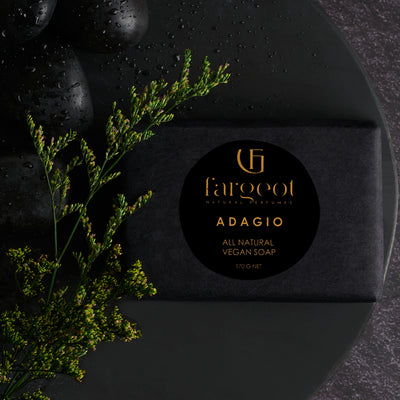 Fargeot Natural Perfumes - Adagio Natural Vegan Men soap
